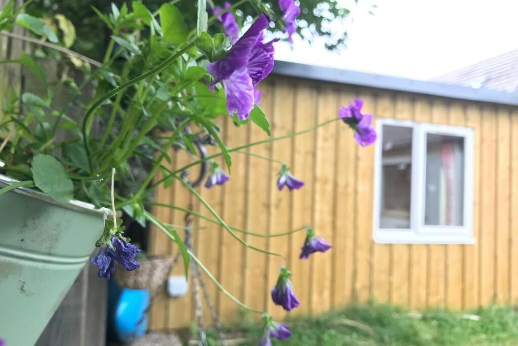 An Cabar Lejlighed Aviemore Eksteriør billede